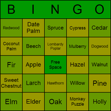 Trees Bingo Card
